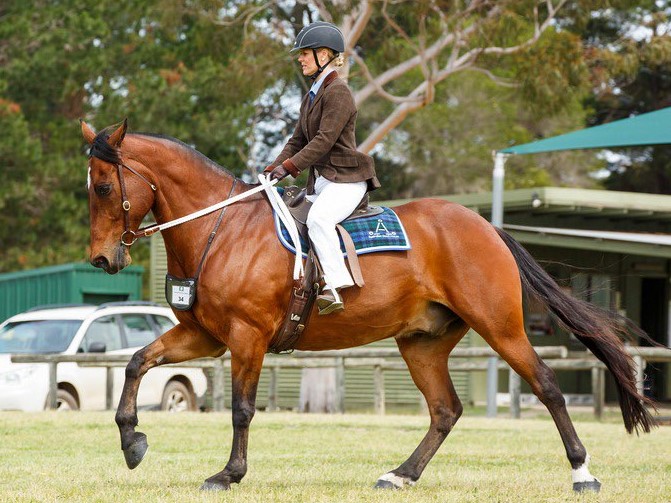 dukecanter