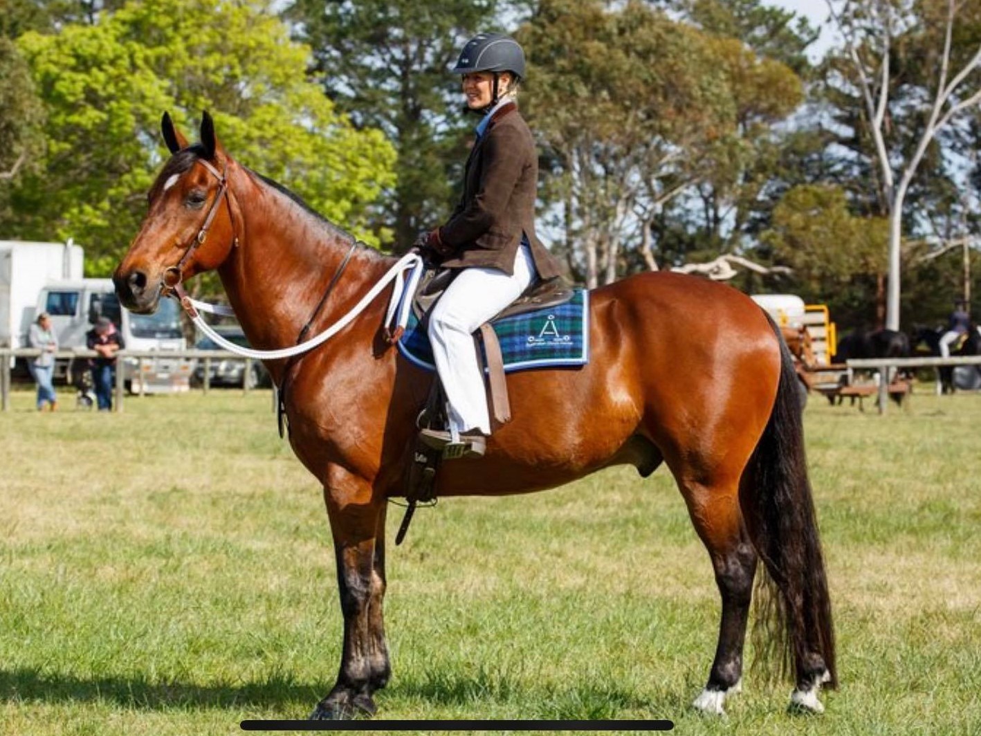dukeshine