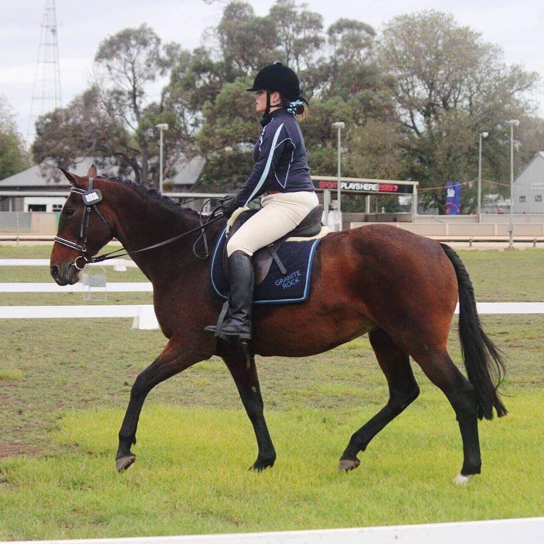 tessdressage