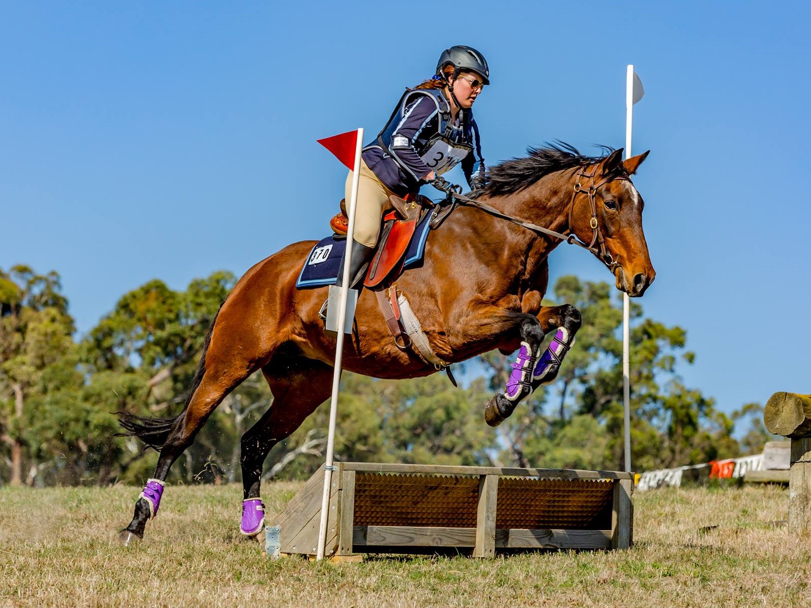 tessxc